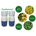 Top quality agriculture Paclobutrazol 15% 15 WP paclobutrazol cultar plant hormone for Plant Growth Regulator